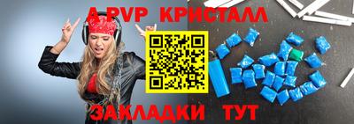шишки Новодвинск