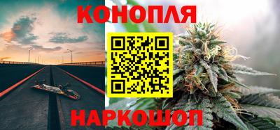 шишки Новодвинск