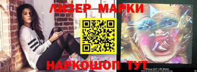 шишки Новодвинск