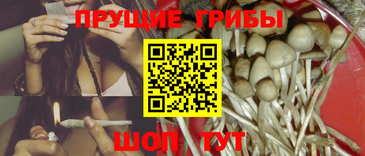 Псилоцибиновые грибы мухоморы Таганрог